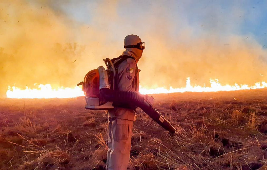 Goiânia disponibiliza aplicativo para população informar focos de incêndio 