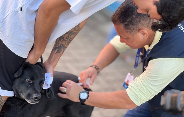 Goiânia disponibiliza vacinação antirrábica de forma permanente em 10 pontos