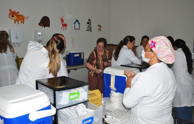 Goiânia já imunizou 218 mil pessoas contra os vírus H1N1 e H3N2