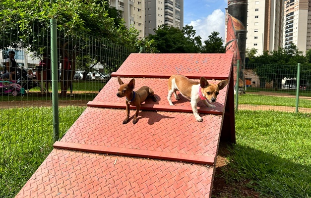 Goiânia possui 82 espaços públicos para recreação de pets