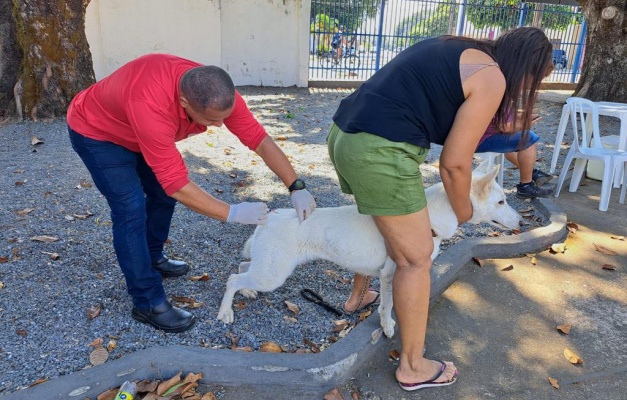 Goiânia pretende imunizar 143 mil cães e gatos durante Campanha Antirrábica