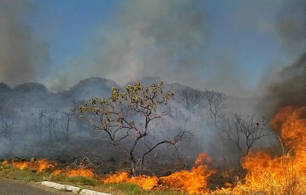 Goiânia sedia discussão sobre adaptação urbana às mudanças climáticas