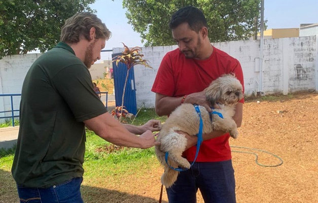Goiânia vacina mais de 77 mil cães e gatos contra raiva