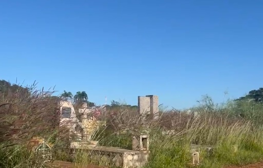 Goianienses denunciam mato, cobras e túmulos quebrados no Cemitério Parque
