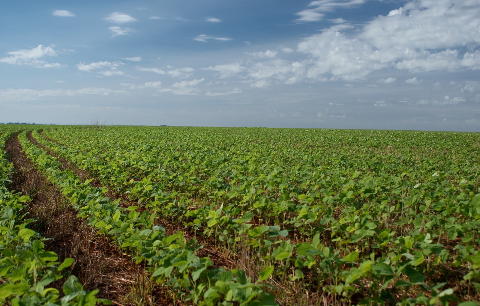 Goiás alcança recorde em saldo da balança comercial 2023