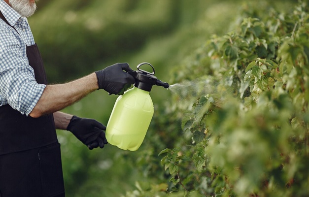 Goiás é 3º maior consumidor de defensivos agrícolas no Brasil