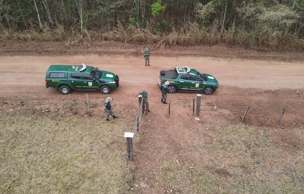 Goiás: Operação Mata Atlântica em Pé aplica cerca de R$ 430 mil em multas