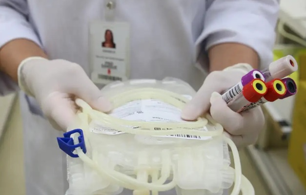 Goiás registra 2,8 mil doadores de medula óssea no 1º semestre de 2024