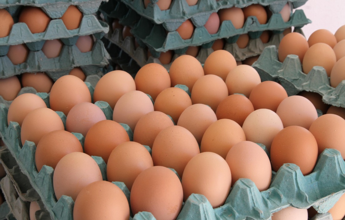 Goiás registra crescimento de 65,7% na produção de ovos