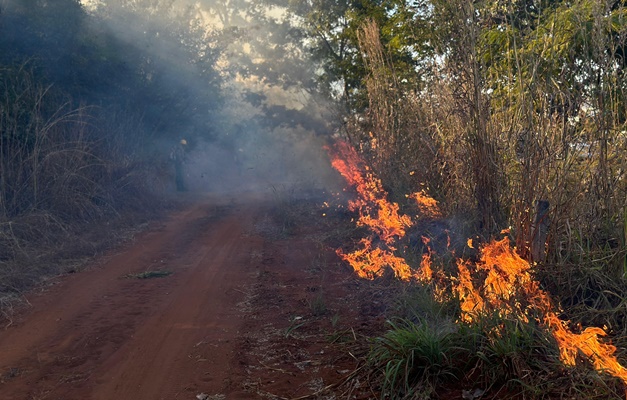 Goiás registra redução de 74% nas áreas queimadas em parques estaduais