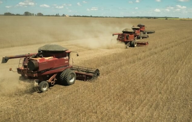 Goiás registra saldo positivo de US$ 6,96 bilhões na balança comercial 
