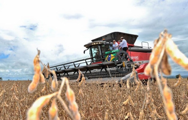 Goiás registra superávit de US$ 3,2 bilhões na balança comercial