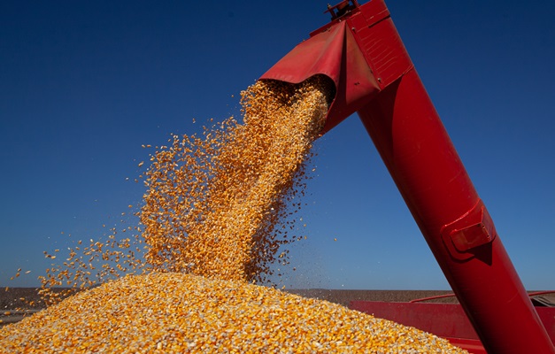 Goiás tem 3 cidades entre as 10 de maior valor de produção agrícola do País