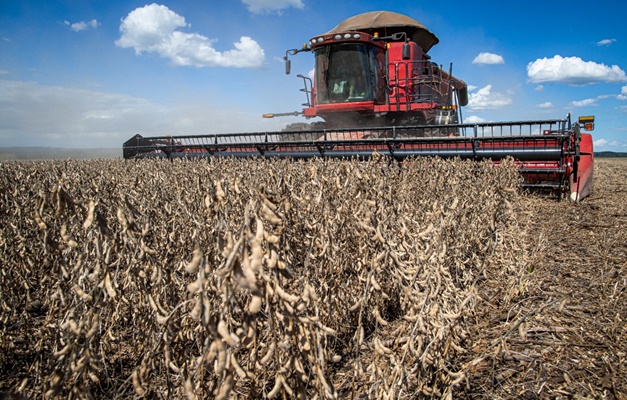 Goiás tem alta recorde no valor da produção agrícola