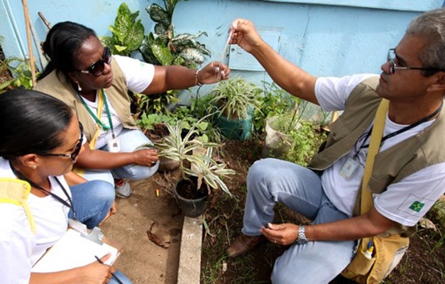 Goiás terá 'Dia D' contra dengue e outras arboviroses neste sábado (8)