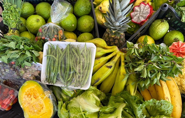 Governo de Goiás destina R$ 30 mi a agricultores familiares pelo PAA Goiás