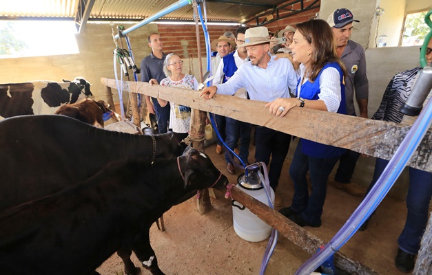 Governo de Goiás doa 250 toneladas de milho a produtores de leite