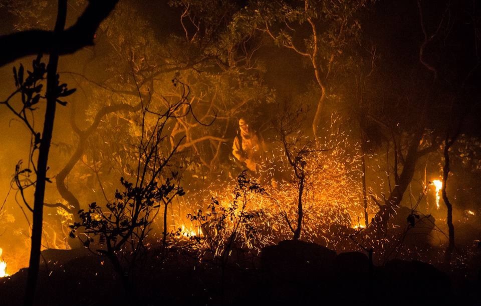 Governo de Goiás investe R$ 1 milhão na prevenção de incêndios no Cerrado