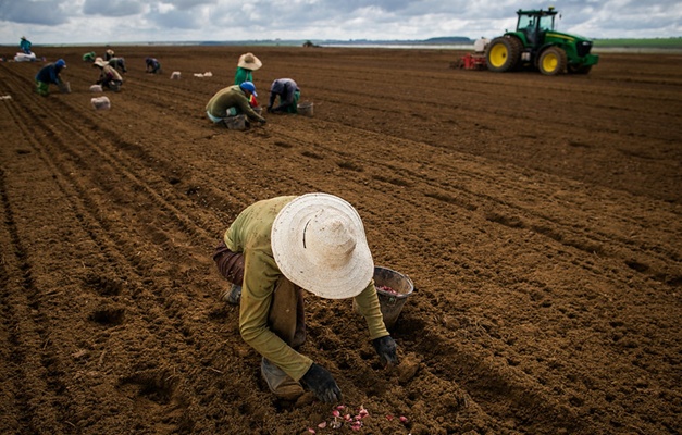 Governo de Goiás irá investir R$ 30 milhões na agricultura familiar em 2025