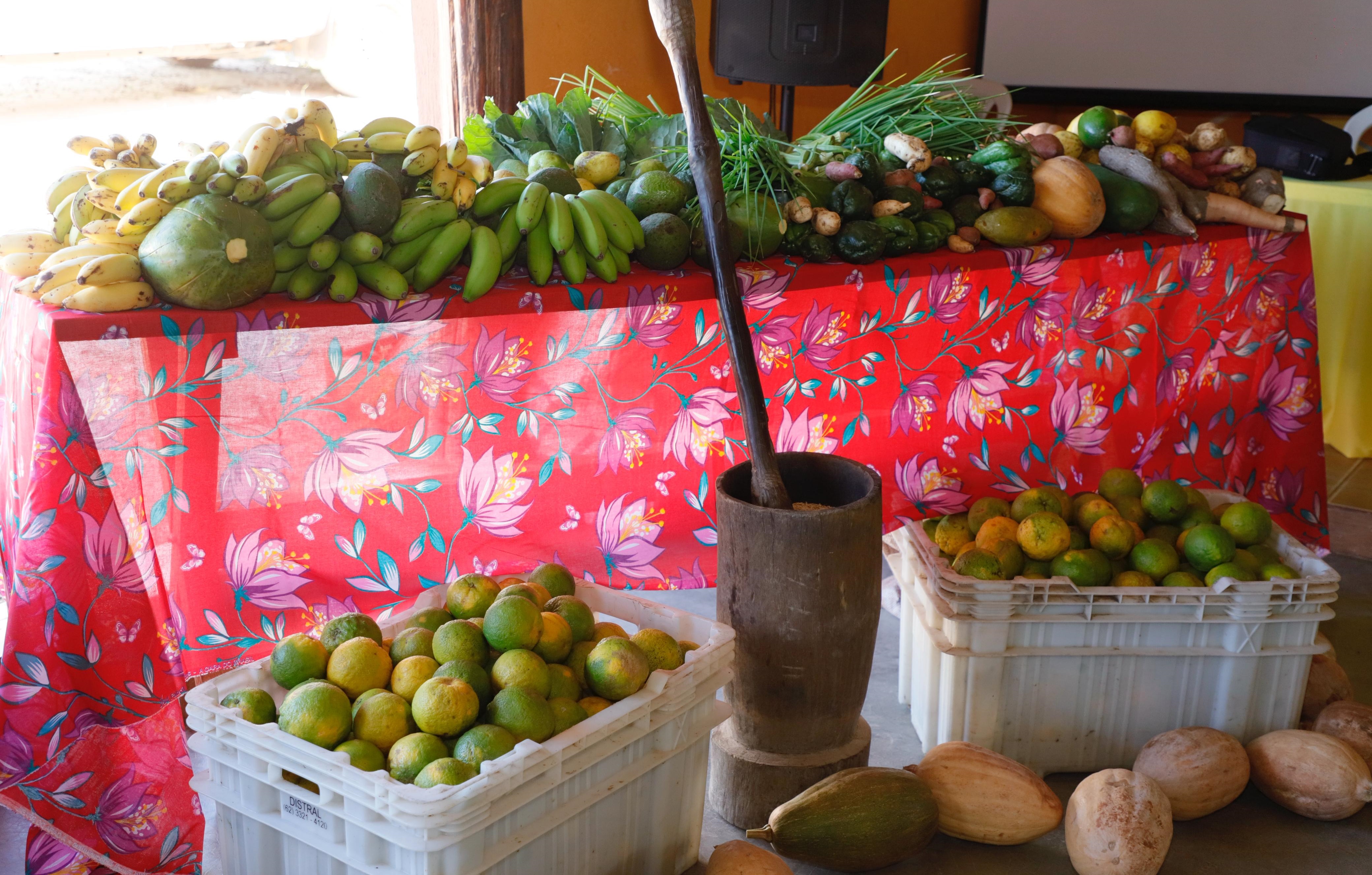 Governo de Goiás lança edital para  Aquisição de Alimentos Quilombolas