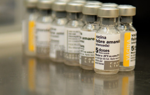 Governo negocia importação da vacina contra a febre amarela