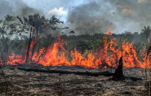 Governo publica regras para prevenção de incêndio florestal em propriedades rurais