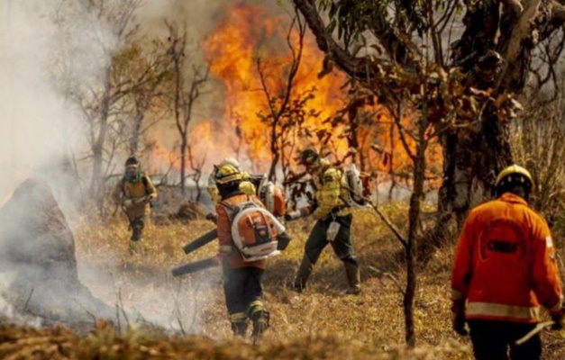 Governo quer pena de até 18 anos de prisão para quem provocar incêndio florestal