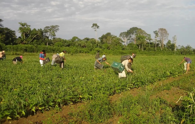 Governo reduz para R$ 200 mil limite de enquadramento no Proagro