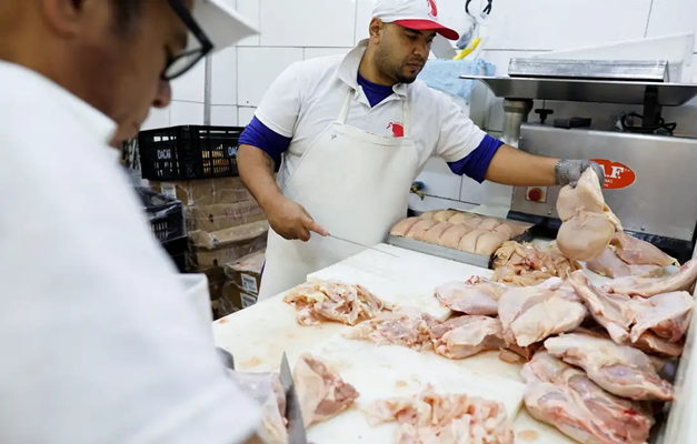 Gripe aviária: 17 países suspendem restrição à carne brasileira 
