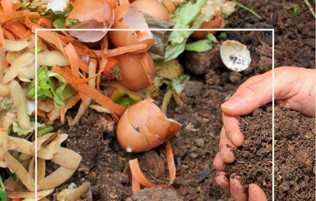 Guia orienta municípios a implantar sistemas de compostagem