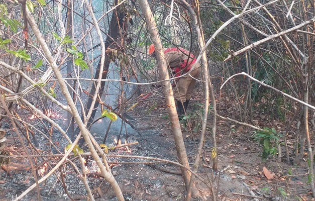 Helicóptero do ICMBio chega a Goiás para reforçar combate a incêndio