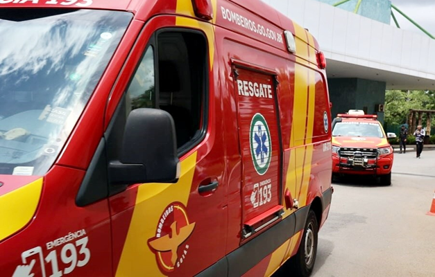 Homem morre após ataque de abelhas no Setor Nova Suiça em Goiânia 