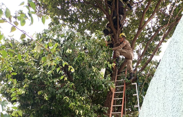 Homem morre eletrocutado em Caldas Novas