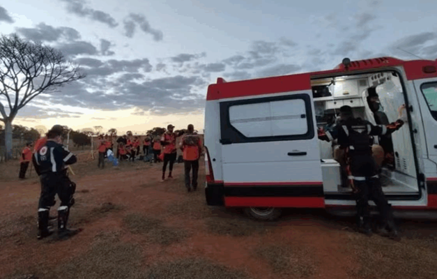 Homens do grupo 'Legendários' são atacados por abelhas em Caldas Novas