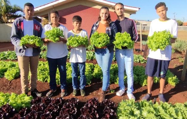 Hortas nas escolas contribuem para alimentação saudável de alunos em Goiás