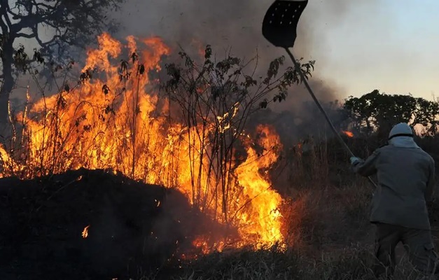 Ibama multa 242 pessoas por incêndios criminosos em 2024
