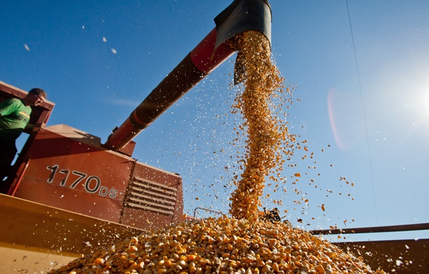 IBGE: valor da produção agrícola brasileira chega a R$ 232,5 bilhões em 2013