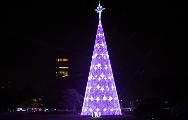 Ibirapuera inaugura árvore de Natal mais alta de SP; saiba como vai ser