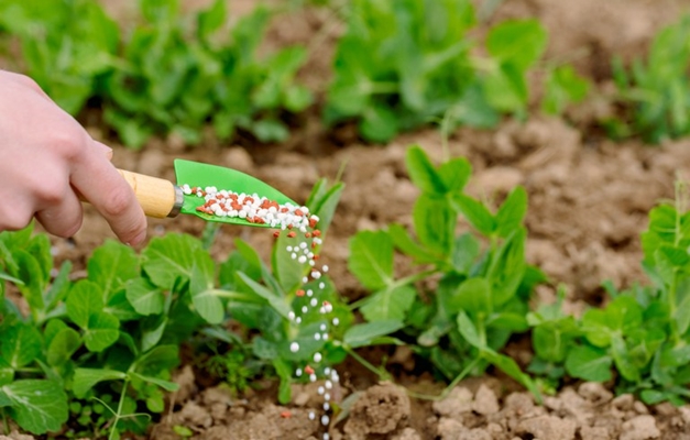 Impacto da guerra: preço dos fertilizantes sobe pelo menos 15% em Goiás