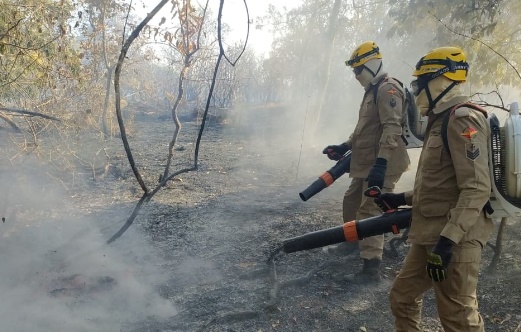 Incêndio atinge 700 hectares de vegetação em fazenda na cidade de Cristalina