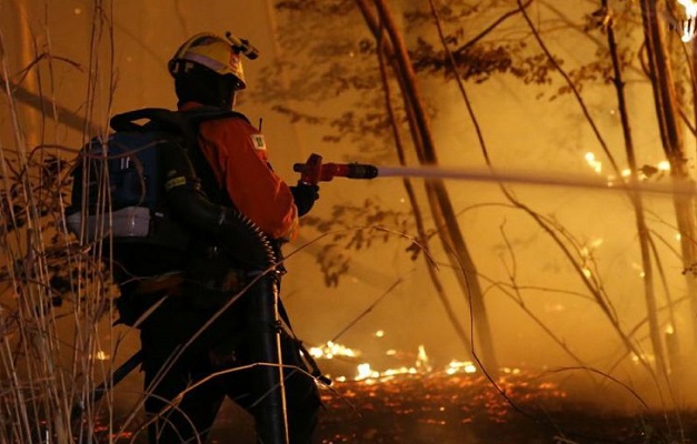 Incêndio atinge área de 163 hectares na Floresta Nacional de Brasília