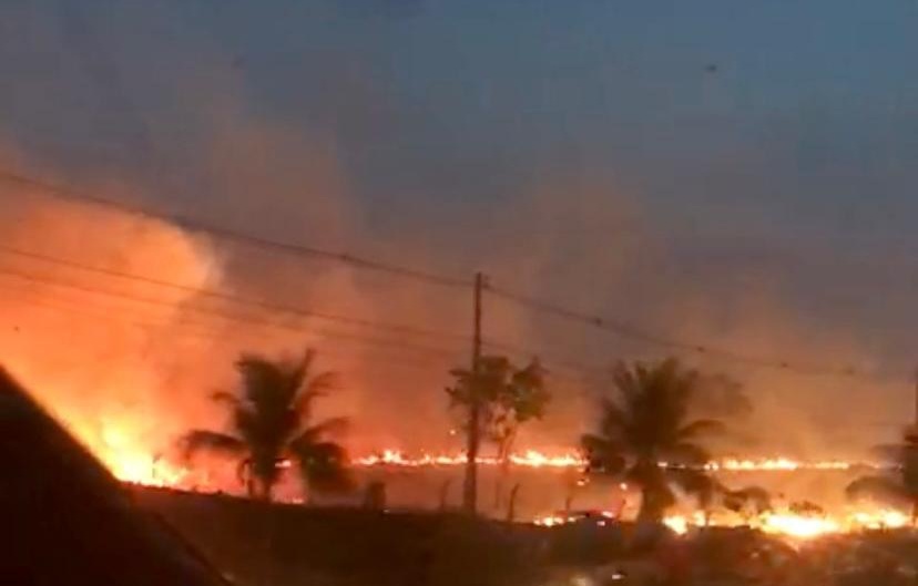 Incêndio atinge mata próxima ao Centro Cultural Oscar Niemeyer em Goiânia