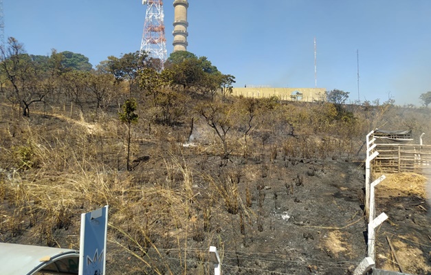 Incêndio atinge Morro da Serrinha, em Goiânia