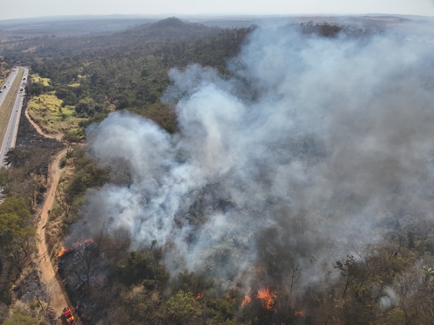 Incêndio atinge Parque Estadual Altamiro de Moura Pacheco em Goiânia