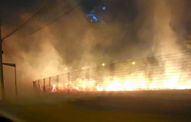 Incêndio atinge vegetação às margens da Avenida Vale Verde em Goiânia 