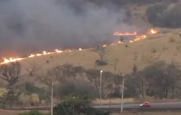 Incêndio atinge vegetação às margens da BR-153, em Goiânia 