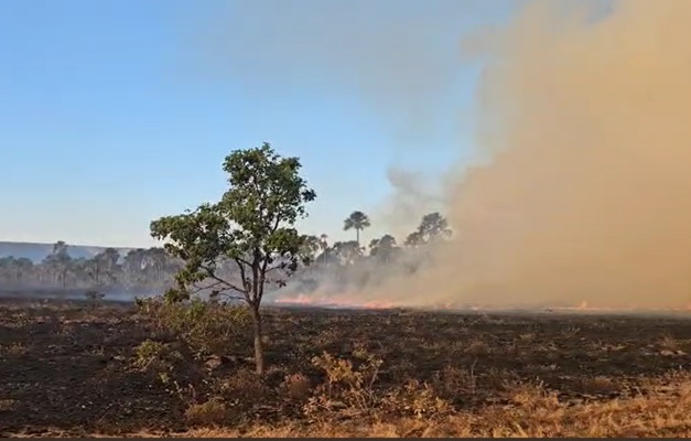 Incêndio consome quase 25 mil hectares de vegetação em São Domingos
