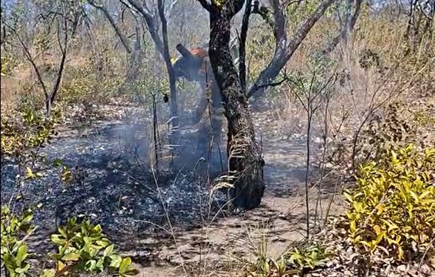 Incêndio em área próxima ao Parque Estadual Terra Ronca é controlado