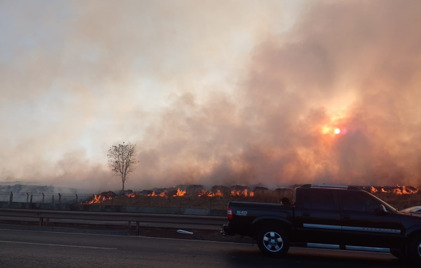 Incêndio em vegetação próxima ao Aeroporto de Goiânia assusta moradores