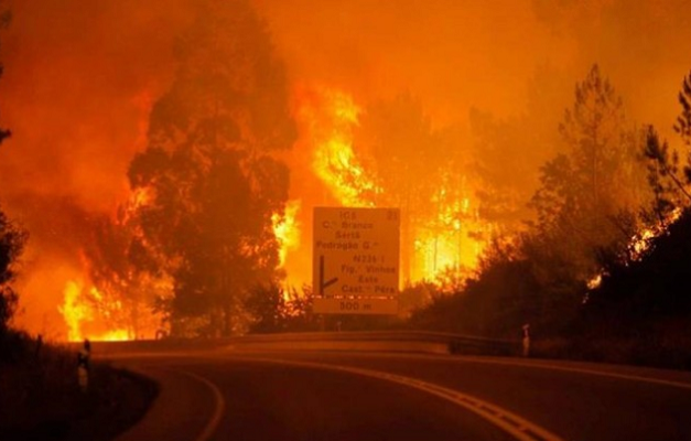 Incêndio florestal deixa 62 mortos e vários feridos em Portugal